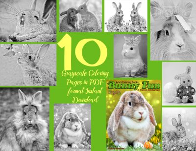 coloring pages bunnies coloring pages bunnies
