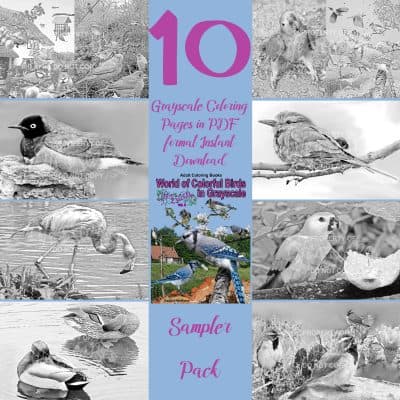 birds coloring pages birds coloring pages