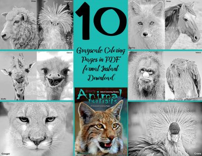 coloring pages animal portraits coloring pages animal portraits
