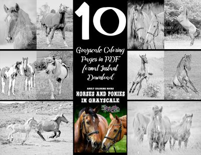 coloring pages horses coloring pages horses