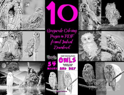 coloring pages owls coloring pages owls