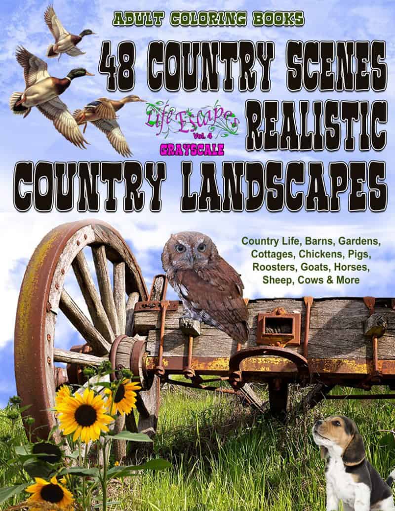 48 Country Scenes Coloring Book for Adults Life Escapes Grayscale