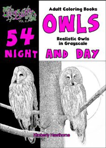 owls adult coloring book owls adult coloring book