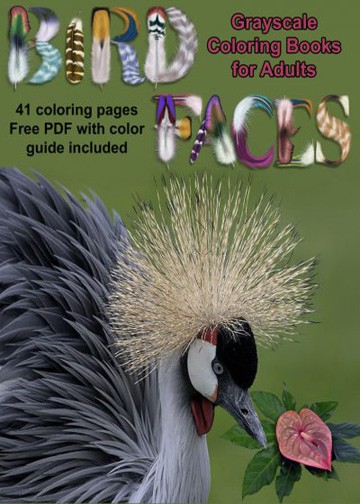 bird-faces-adult-coloring-book bird-faces-adult-coloring-book